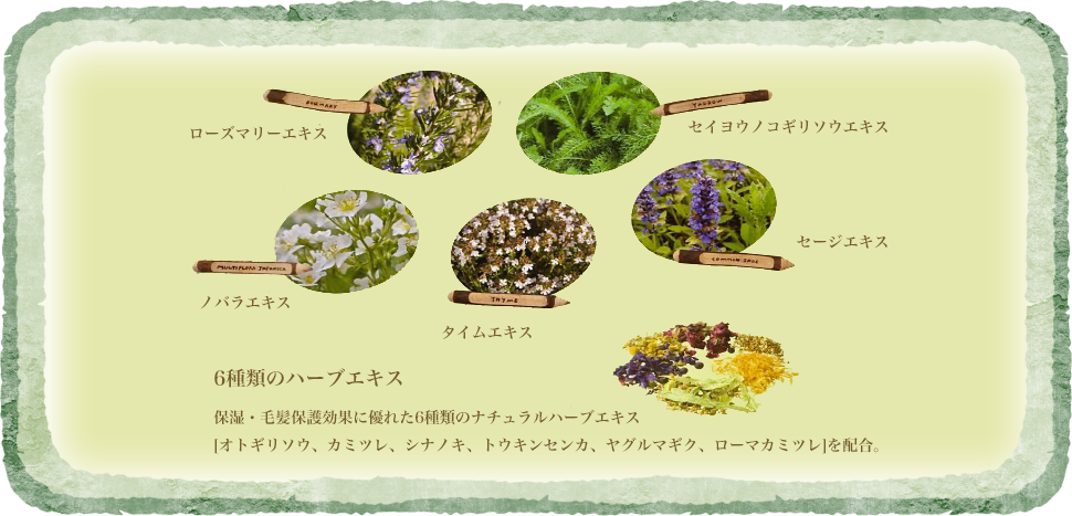 ずっと輝いていたいから...